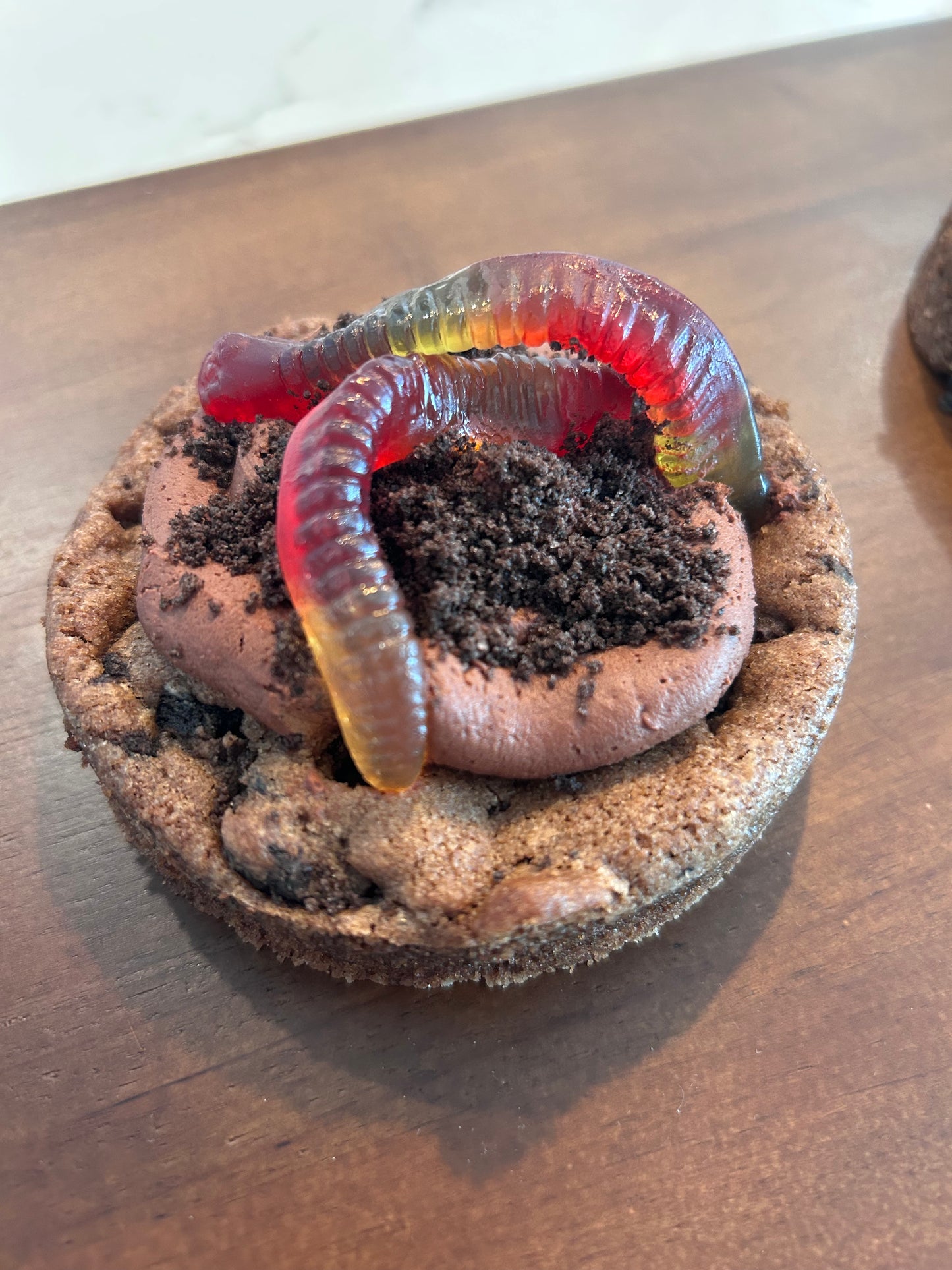 Seasonal Dirt Worm Cookie