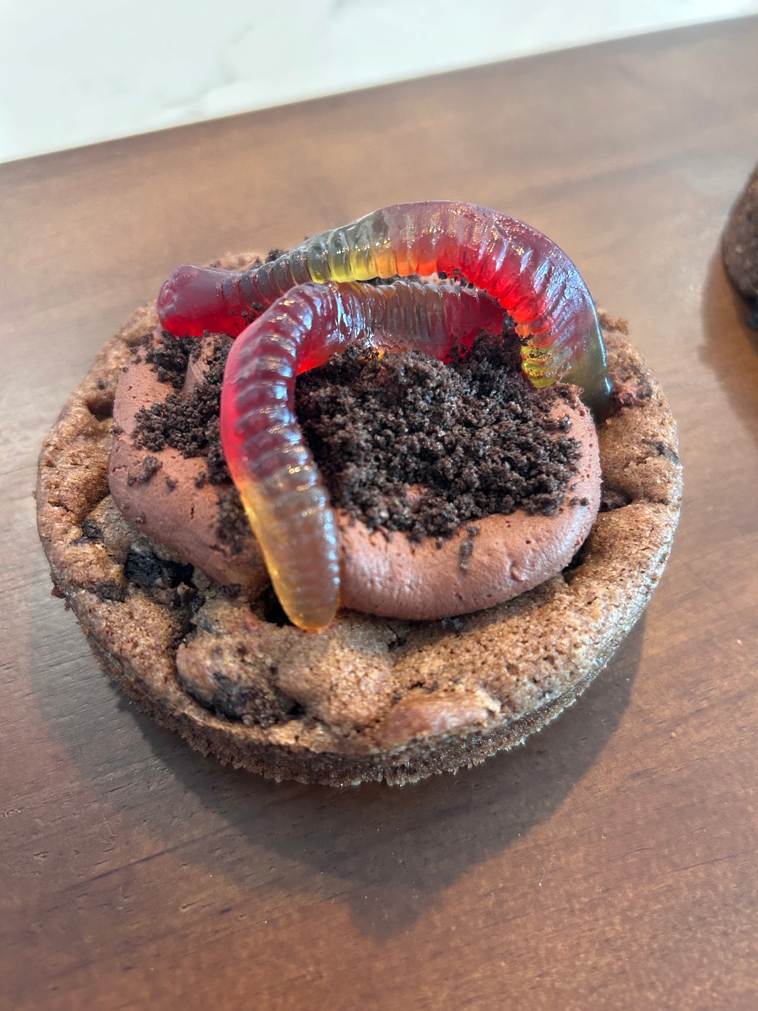 Seasonal Dirt Worm Cookie